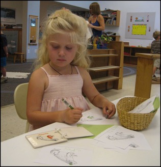 child working on parts of a frog